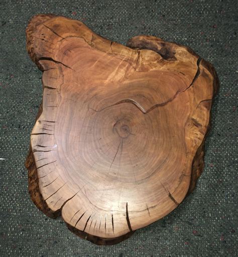 Once the long <strong>pieces</strong> of <strong>trunk</strong> were down, he cut them into fireplace lengths for us to split in the future. . Large tree trunk slices for sale